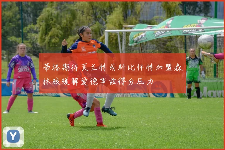 蒂格期待莫兰特或科比怀特加盟森林狼缓解爱德华兹得分压力
